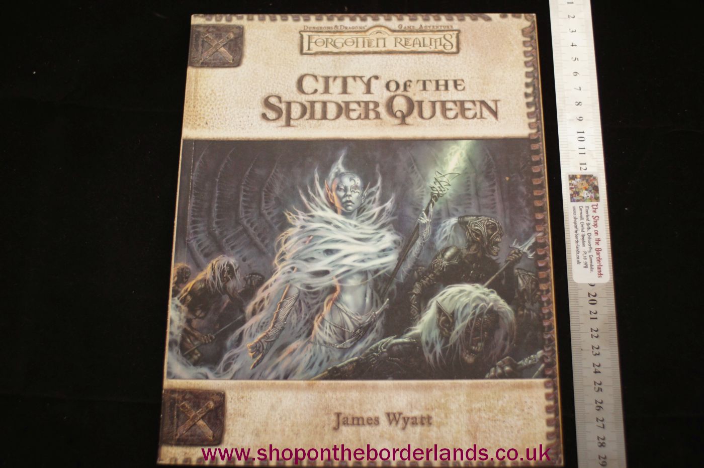 forgotten realms city of the spider queen pdf